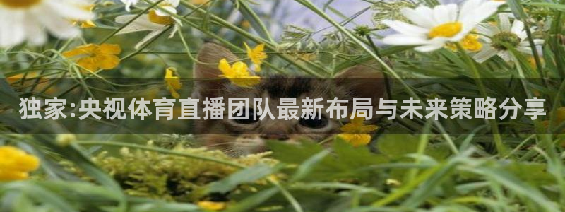 178直播体育赛事免费直播：独家:央视体育直播团队最新布局与未来策略分享