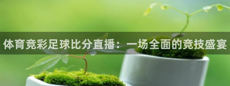 178体育直播官网版：体育竞彩足球比分直播：一场全面的竞技盛宴