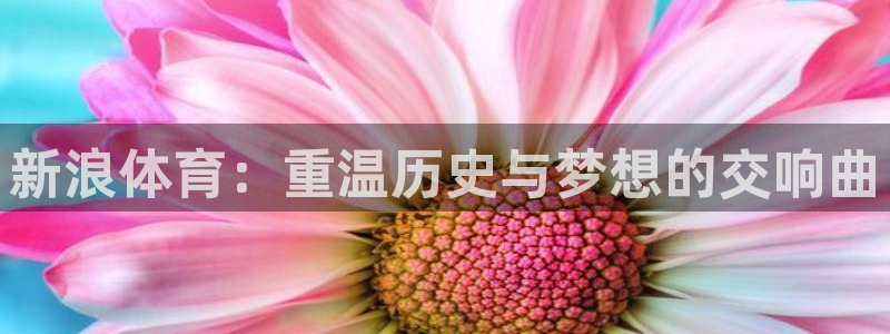 178看球在线免费直播：新浪体育：重温历史与梦想的交响曲