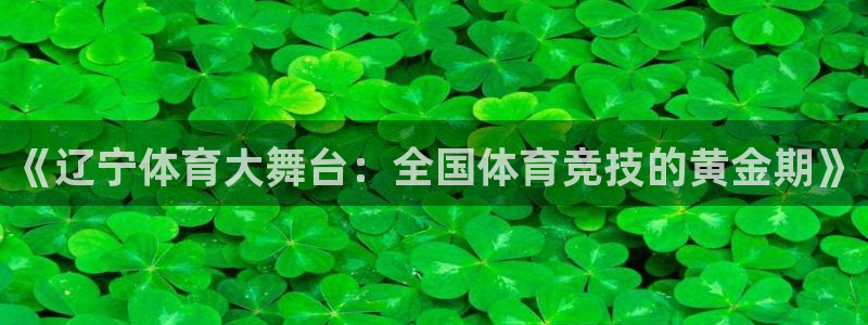 178直播体育赛事nba新版.好游网.org：《辽宁体育大舞台：全国体育竞技的黄金期》