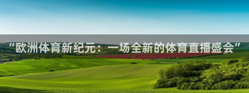 雨燕直播178足球比赛：“欧洲体育新纪元：一场全新的体育直播盛会”