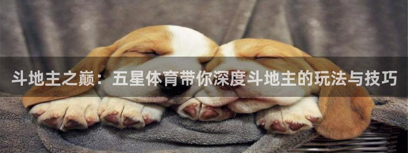 178直播体育篮球