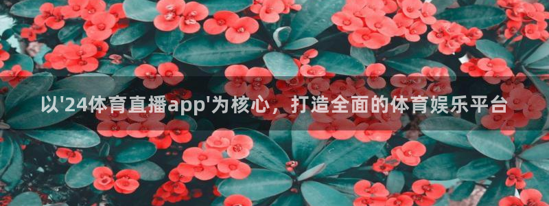 178体育篮球直播在线观看：以\'24体育直播app\'为核心，打造全面的体育娱乐平台