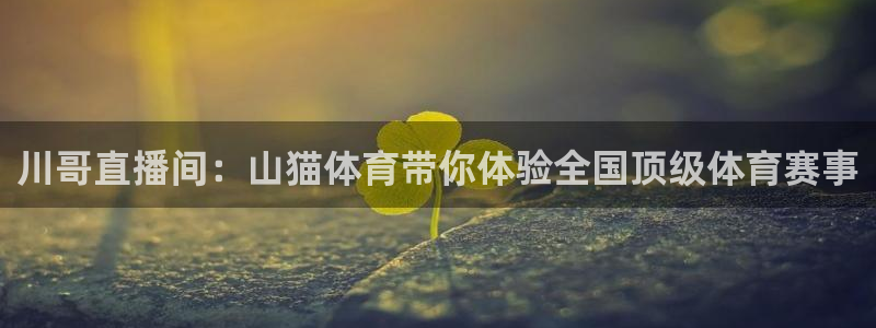 直播nba免费观看178：川哥直播间：山猫体育带你体验全国顶级体育赛事