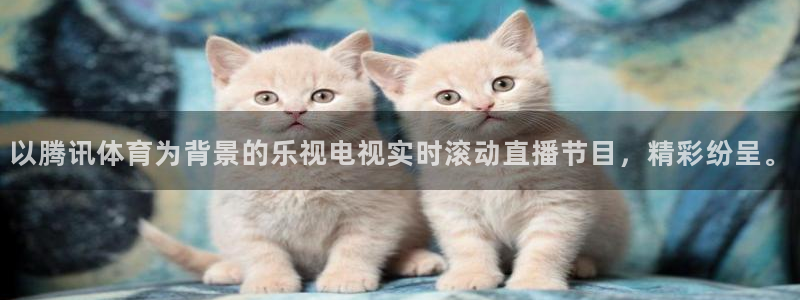 足球178直播：以腾讯体育为背景的乐视电视实时滚动直播节目，精彩纷呈。