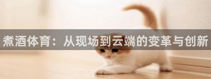178直播篮球：煮酒体育：从现场到云端的变革与创新