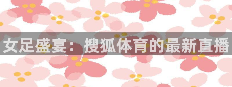 178体育篮球直播：女足盛宴：搜狐体育的最新直播