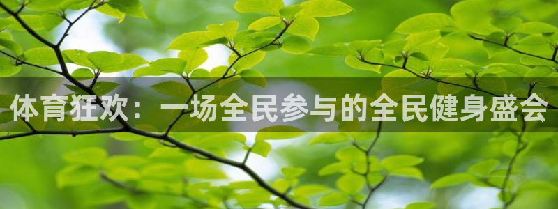 178体育赛事直播免费观看：体育狂欢：一场全民参与的全民健身盛会