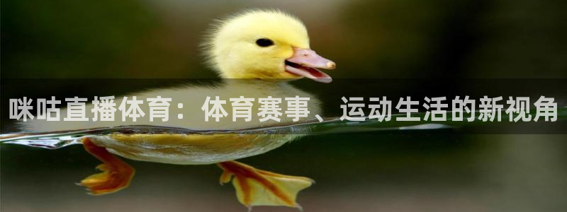 178直播2直播足球直播：咪咕直播体育：体育赛事、运动生活的新视角