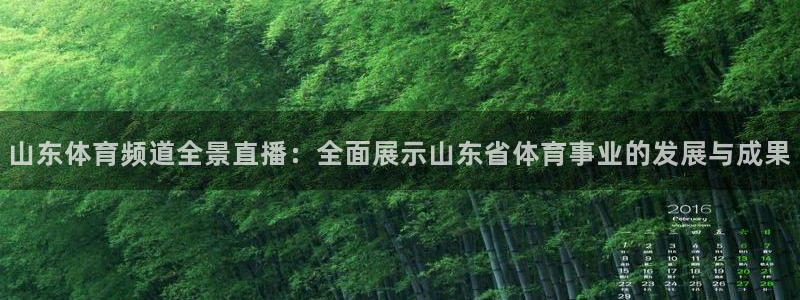 178直播在线观看高清nba：山东体育频道全景直播：全面展示山东省体育事业的发展与成果