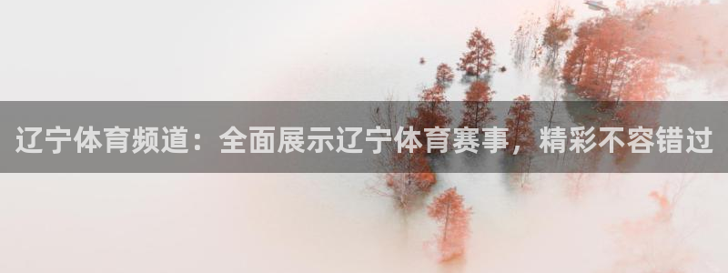 178直播体育足球：辽宁体育频道：全面展示辽宁体育赛事，精彩不容错过