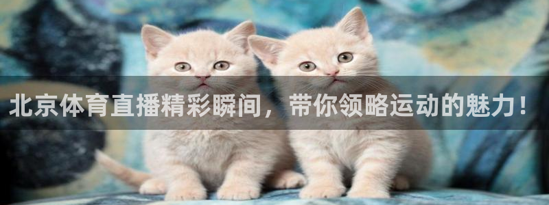 nba免费直播178：北京体育直播精彩瞬间，带你领略运动的魅力！