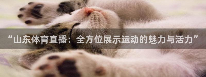 178体育赛事直播入口在哪：“山东体育直播：全方位展示运动的魅力与活力”