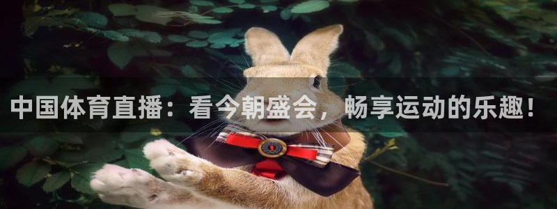 看球网直播nba篮球178：中国体育直播：看今朝盛会，畅享运动的乐趣！